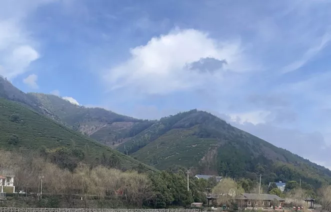 地质灾害在线监测系统